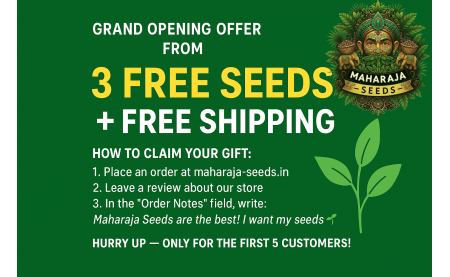GRAND OPENING OFFER FROM MAHARAJA SEEDS!