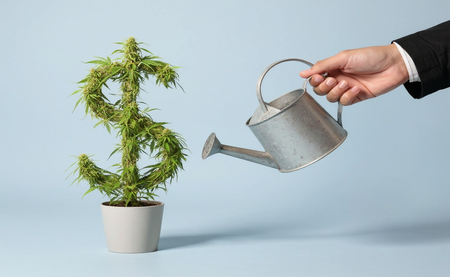 5 Habits of Successful Growers That Save Time and Boost Yields