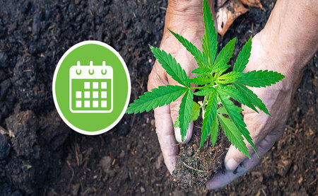 The Grower’s Calendar: What to Do Each Season