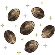 Cannabis Seeds